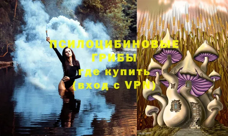 Псилоцибиновые грибы MAGIC MUSHROOMS  hydra ссылка  маркетплейс телеграм  Котовск 